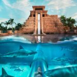 Aquaventure Waterpark & Lost Chambers 