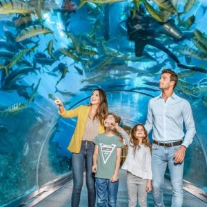 Dubai Mall Underwater Zoo and Aquarium