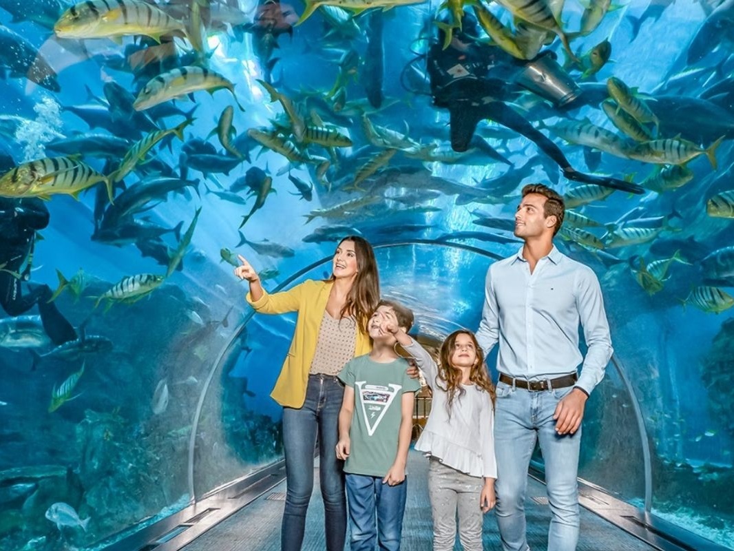 Dubai Mall Underwater Zoo and Aquarium