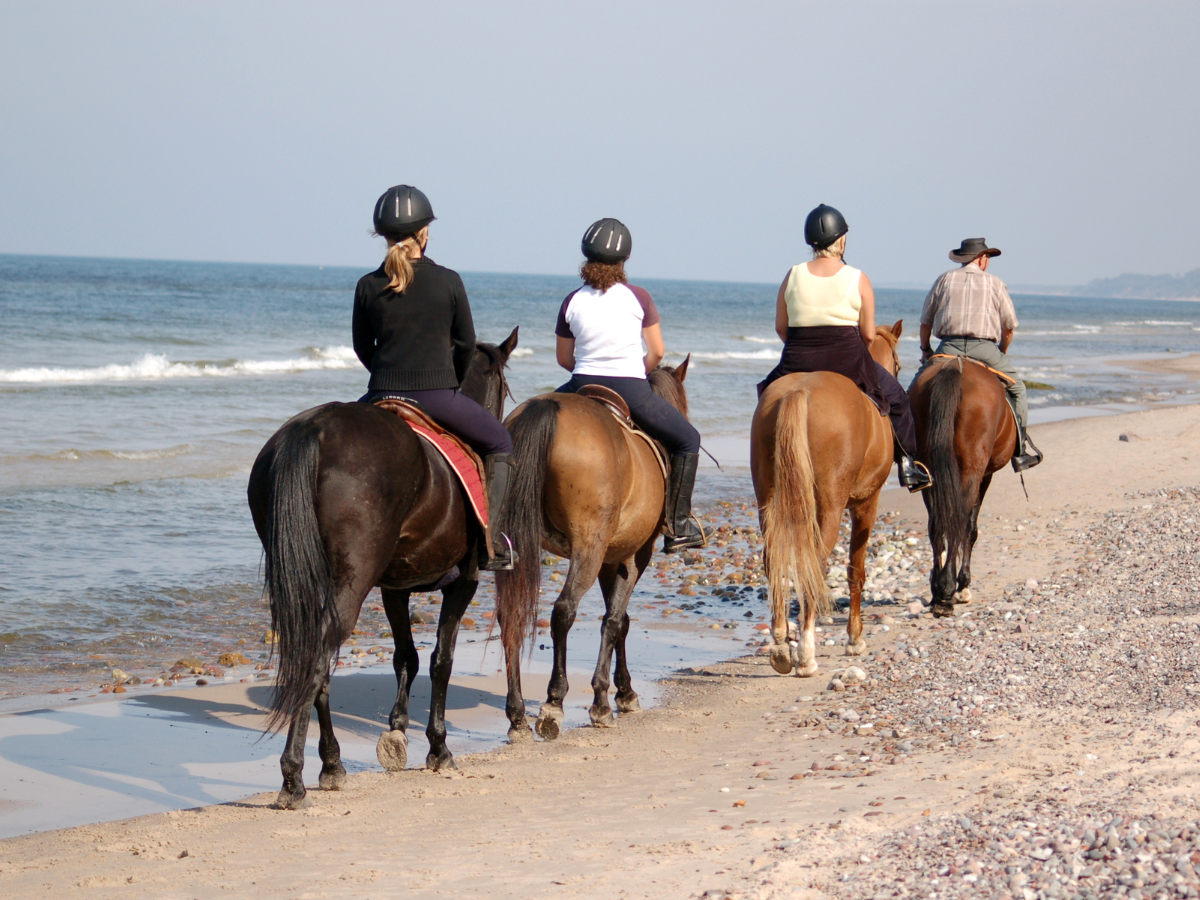 que faire à Dubai : balade à cheval en bord de mer